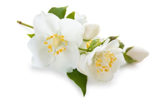 No one ever asked about me.