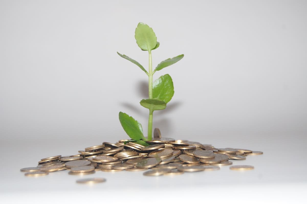 Money disguised as Hope