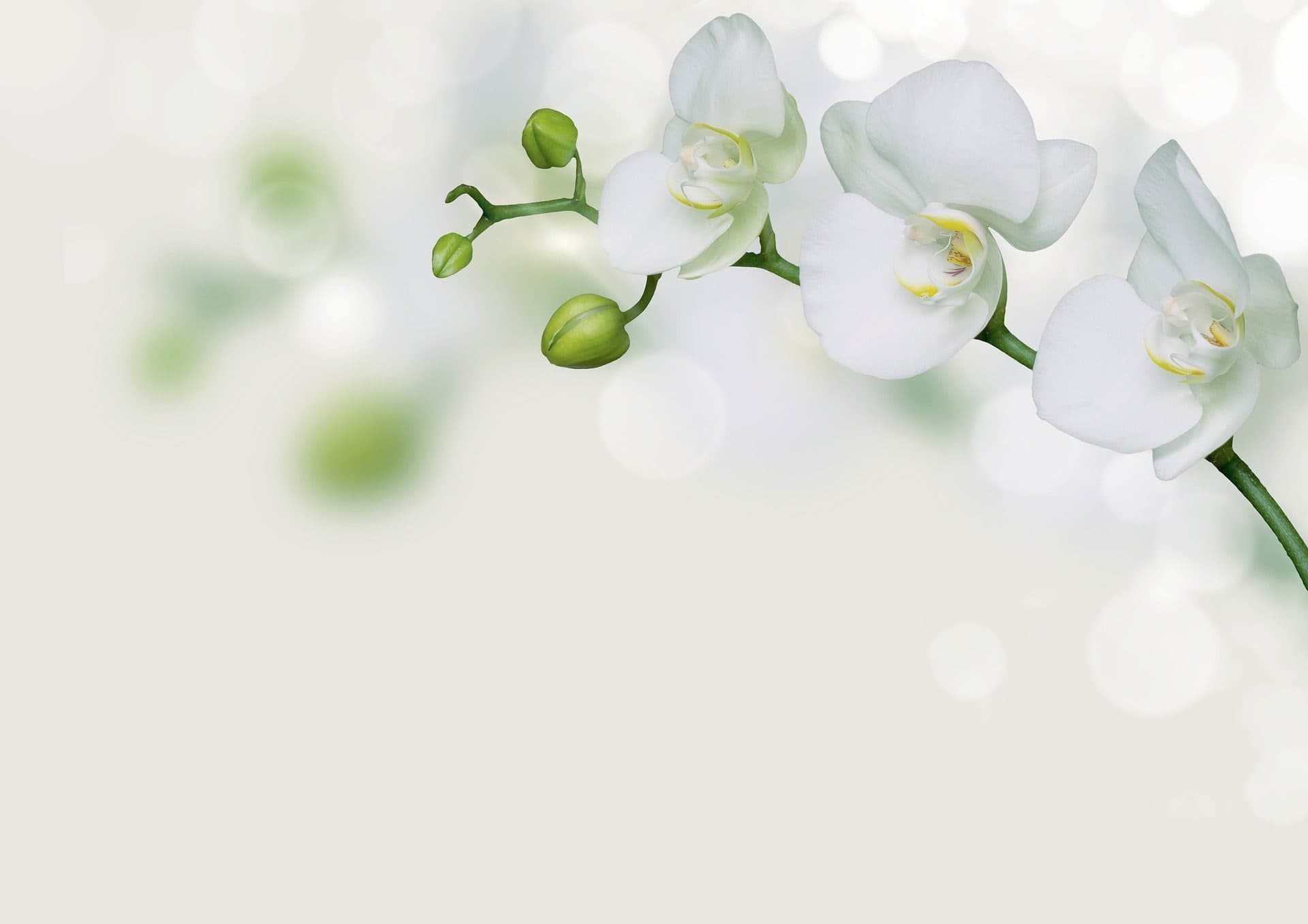 I felt like I was in a battle among soldiers who sat there watching me fight on my own.